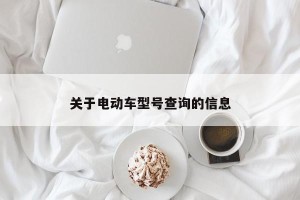 关于电动车型号查询的信息