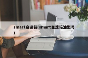 smart变速箱(smart变速箱油型号)