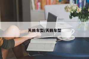 天籁车型/天籁车型