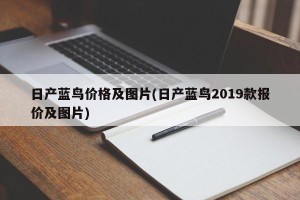 日产蓝鸟价格及图片(日产蓝鸟2019款报价及图片)