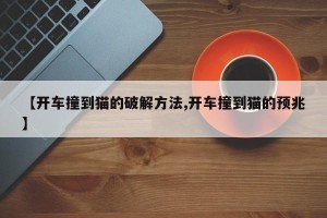 【开车撞到猫的破解方法,开车撞到猫的预兆】