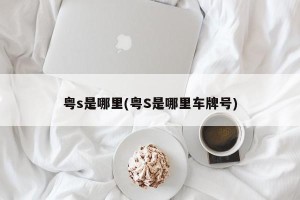 粤s是哪里(粤S是哪里车牌号)