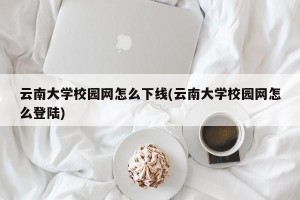云南大学校园网怎么下线(云南大学校园网怎么登陆)