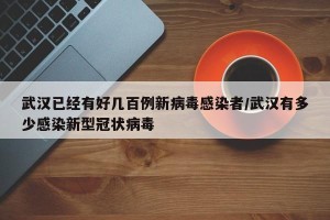 武汉已经有好几百例新病毒感染者/武汉有多少感染新型冠状病毒