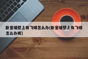 卧室墙壁上有飞蛾怎么办(卧室墙壁上有飞蛾怎么办呢)