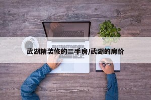 武湖精装修的二手房/武湖的房价