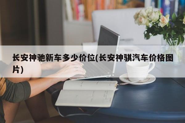 长安神驰新车多少价位(长安神骐汽车价格图片)